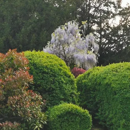 Otium Casa de Férias Couvin
