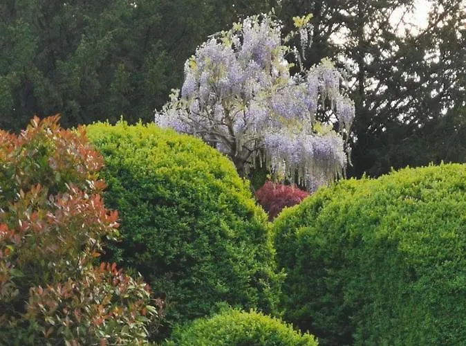 Otium Casa de Férias Couvin